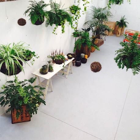 你是否也想拥有一家花店 (每个女孩心中都有一家美好的花店)