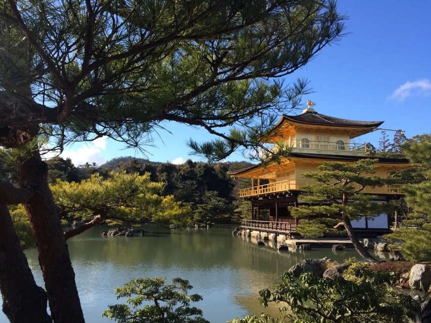 日本旅游马桶,日本旅游购物攻略一览表