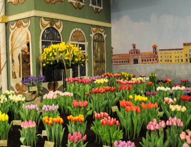 您好，2017年｜阳光灿烂，花果飘香，迎新年这些地方你不得不去！