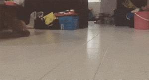 信息快报｜第278期（今日共18条）现在当爹的都有套路了！