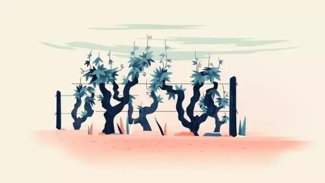 法国插画师amir,tristan插画作品