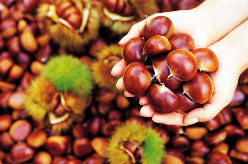 缃楃敯鏉挎牀椋庢櫙瑙嗛,缃楃敯鏉挎牀鍗抽鏉挎牀