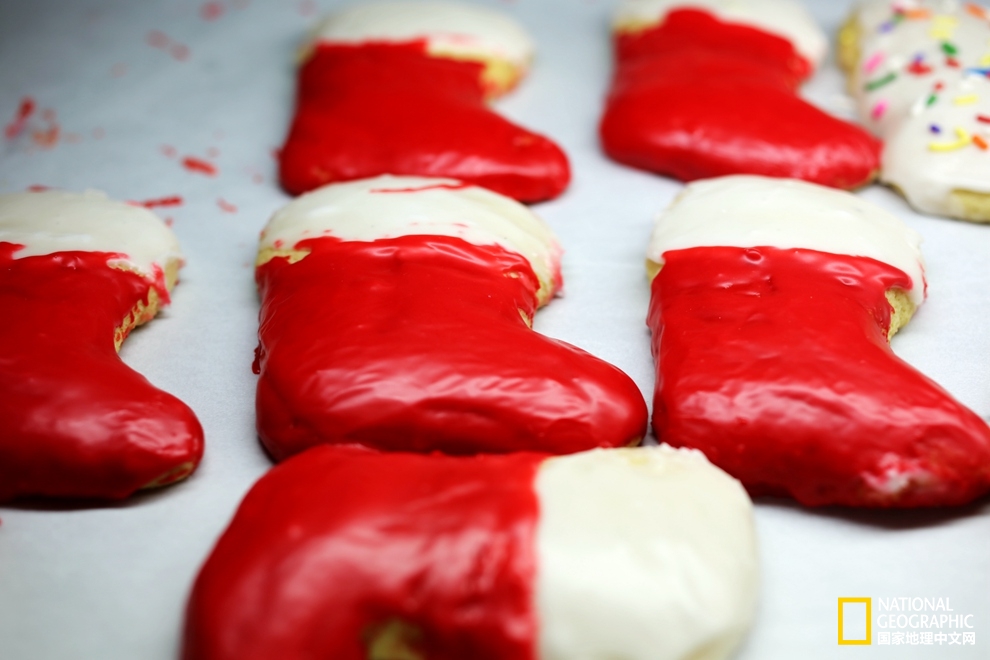 图森仙人掌,图森地理位置