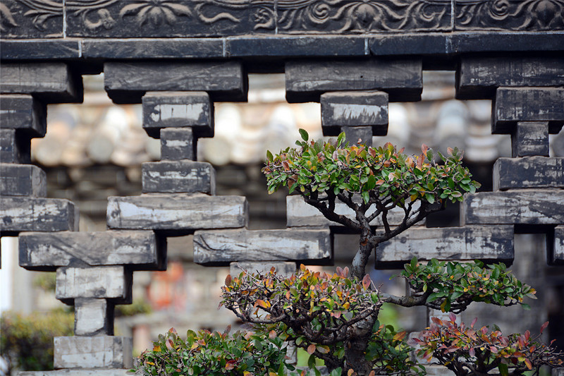 说走就走的旅行云南红河,邂逅云南高原美景