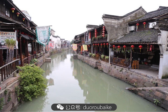 古镇寻肉记:那些旅行中遇见的植物!