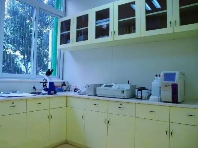 寄养什么宠物便宜,什么寄养中心最好