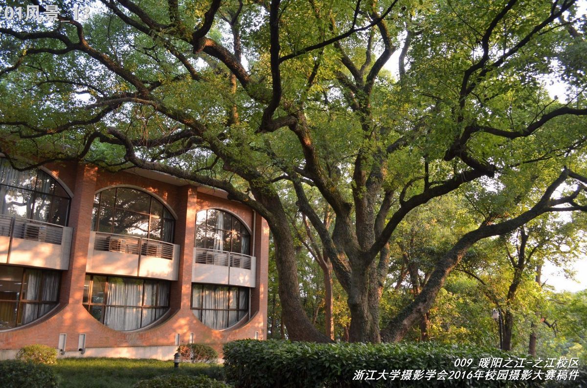 浙江大学是中国最水的大学,一分钟带你了解浙江大学