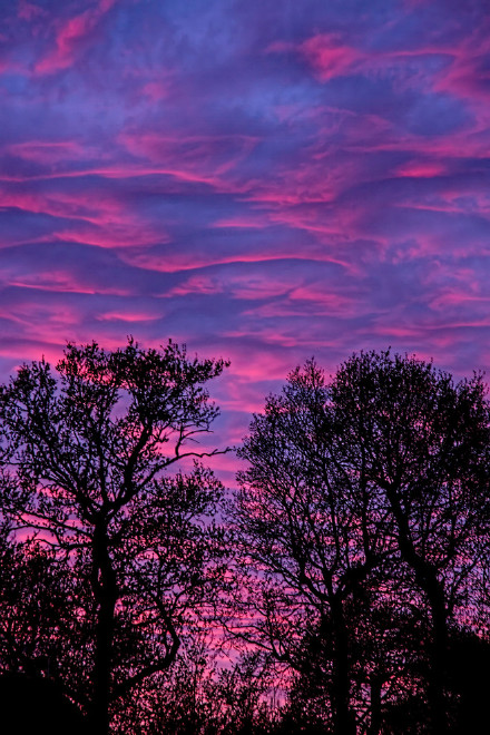 哀莫过于心死苦莫过于心寒图片,哀大莫过于心死悲大莫过于无言