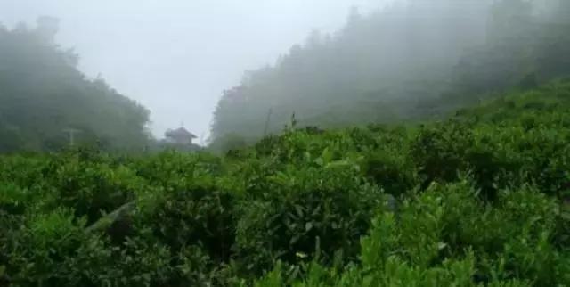 中国建阳建盏图片,建盏黑瓷之都