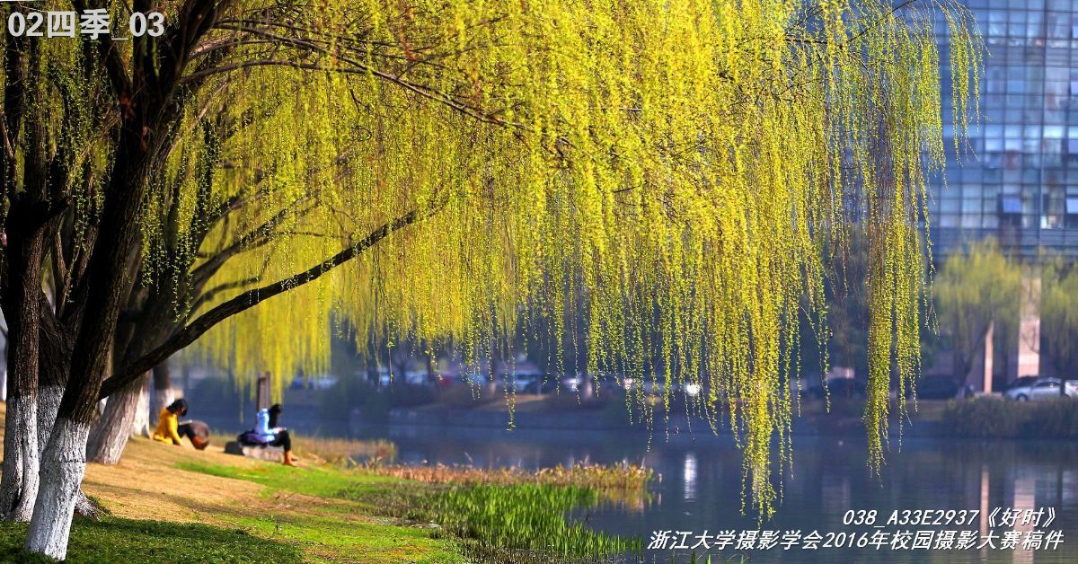 浙江大学是中国最水的大学,一分钟带你了解浙江大学