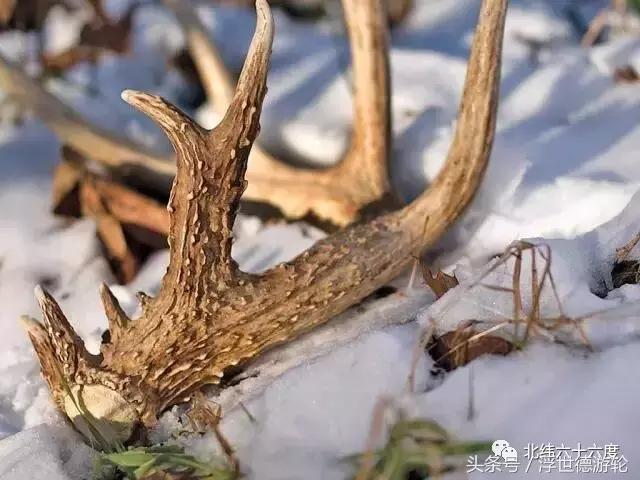 去北欧最值得购买的东西，无需攻略，一次全部告诉你！