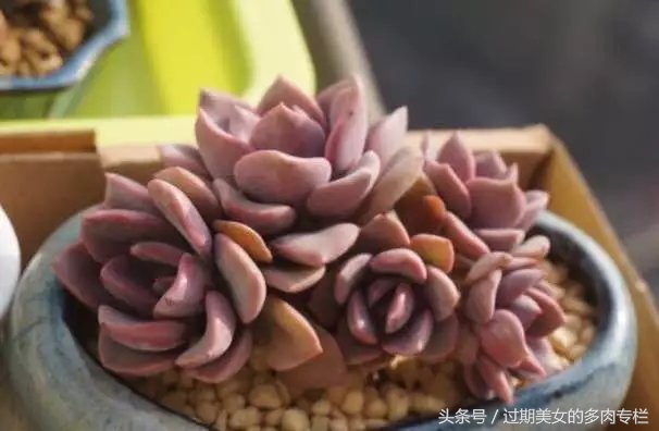 入坑一年小说,入坑一年