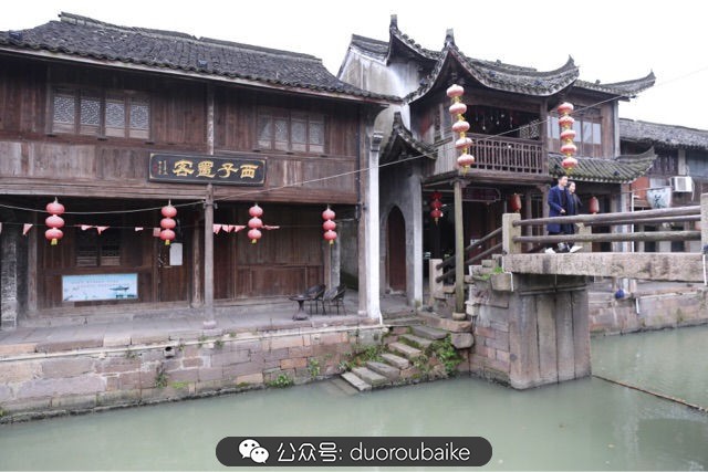 古镇寻肉记:那些旅行中遇见的植物!