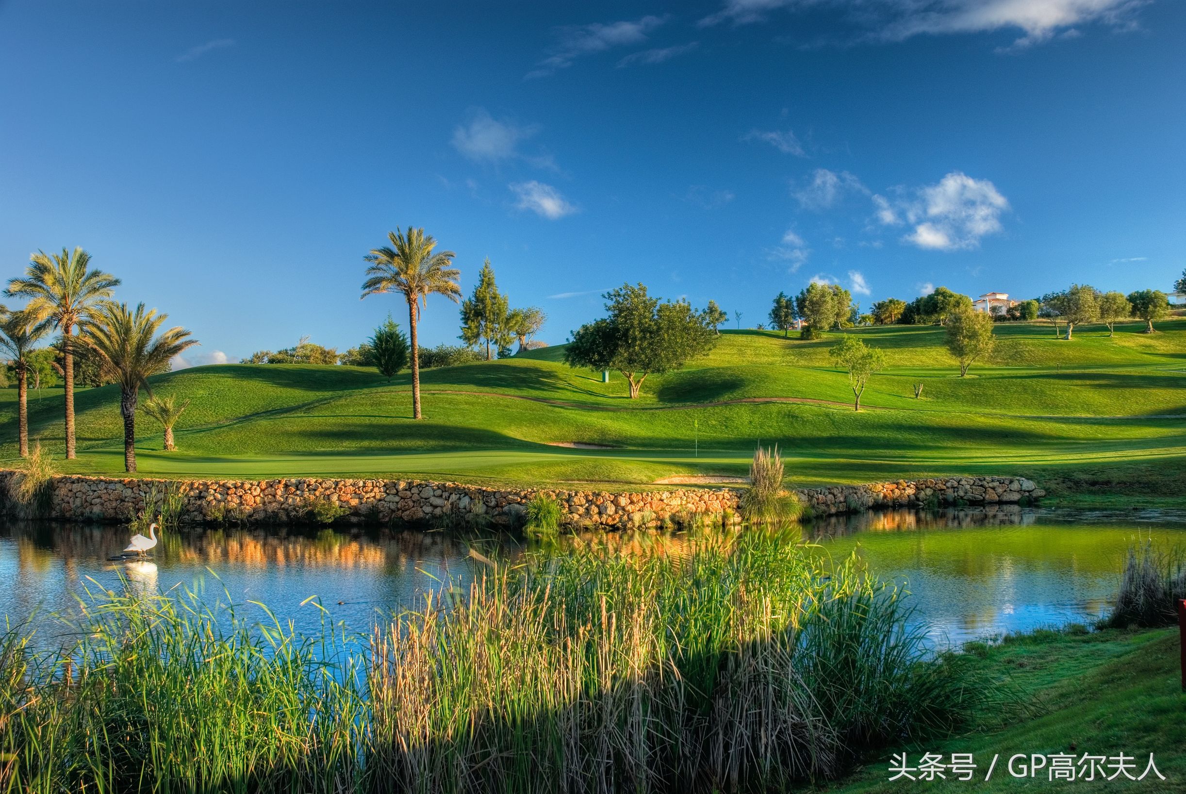 阿尔加维景点,阿尔加维高尔夫度假村