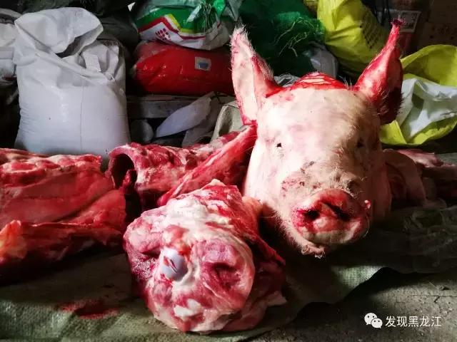 现场实拍农村一家人杀年猪全过程,东北农村真实生活杀年猪