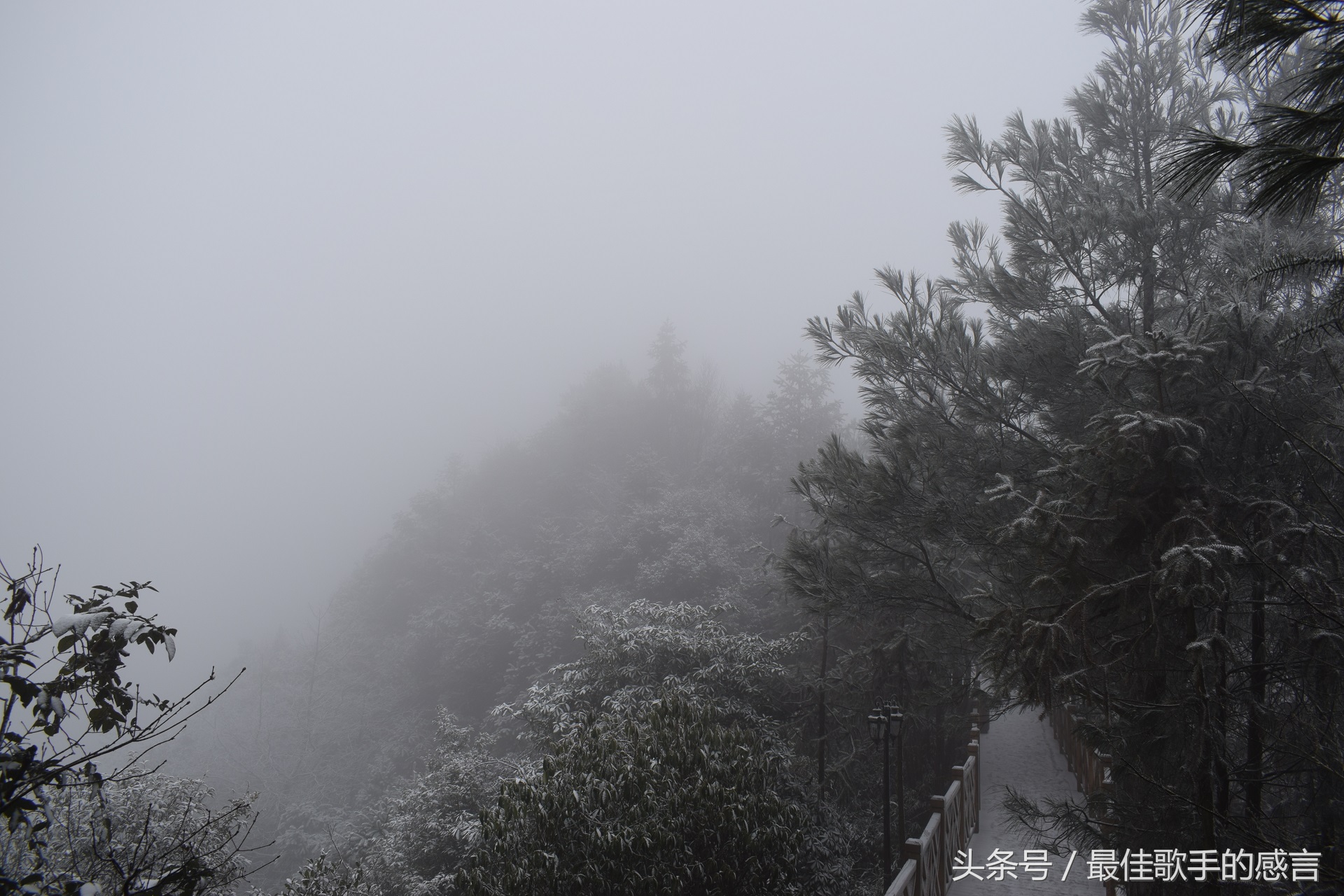 尼康d3300相机推荐新手入门,尼康d3300单反相机入门教程