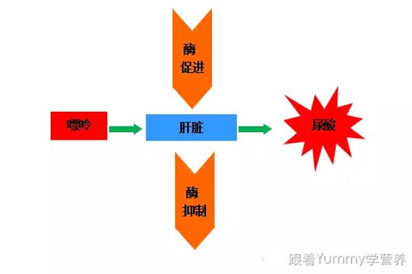 痛风与关节炎的认识,教你认识痛风