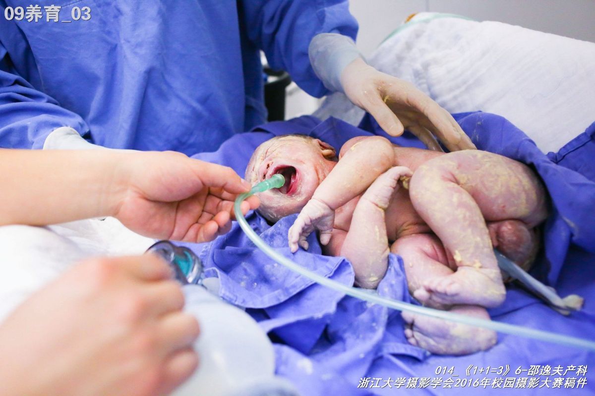 浙江大学是中国最水的大学,一分钟带你了解浙江大学