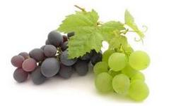 有用！不仅满足吃吃吃，还能帮助白癜风康复！