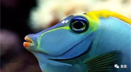 年关将近大家出门一定要注意安全,年关将近大家出门一定注意安全