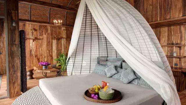 楦熷发搴﹀亣閰掑簵浣撻獙,闅愯棌鍦ㄥ師濮嬫.鏋楃殑娴峰崡楦熷发閰掑簵