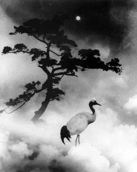 这才是真正的中国风,这才是真正的中国风古装