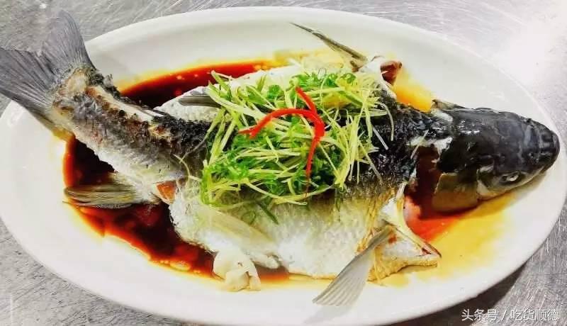 伦教这间店吃草、吃虫，竟然掠来了一波食客粉丝？