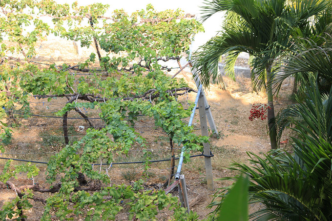 泰国曼谷芭提雅华欣7天自由行 (泰国华欣与芭提雅是一个地方吗)