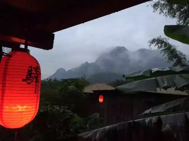 惊！艳！清远这片森林惊现空中吊屋！来过你再也不想回家