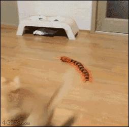 十条笑话笑死,十条笑话精选带图