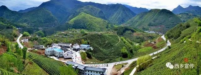 追赶超越促西乡“蝶变”