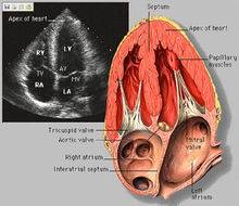 那些年我们错过的歌曲,那些年我们错过的日子