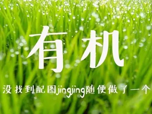 坚持运动不是为了减肥,运动不是为了减肥而是缓解久坐