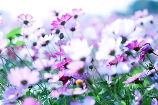 南宁周边农家乐景点推荐,南宁良庆区户外亲子农家乐