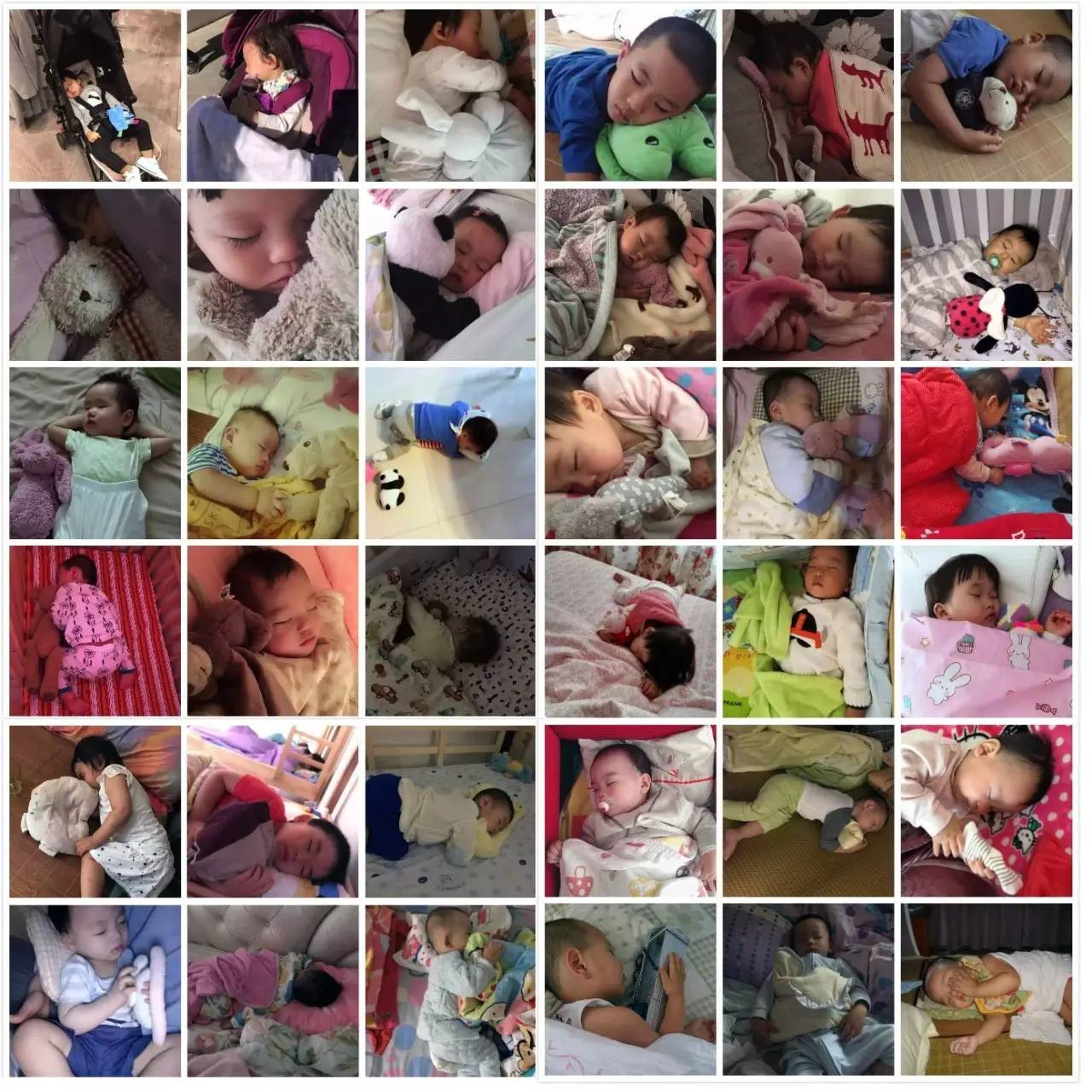 读者来稿丨抱着邦尼兔睡觉、拎着定型枕逛街、在公园里给土豆推秋千……小朋友的安抚物大集合！