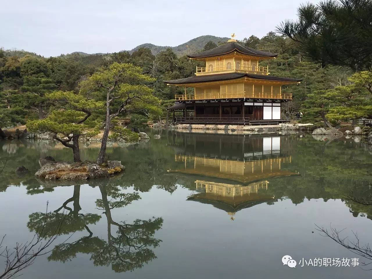 大阪京都五日游攻略大全,攻略318