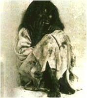 关于人类进化的实验,关于人类的进化观点