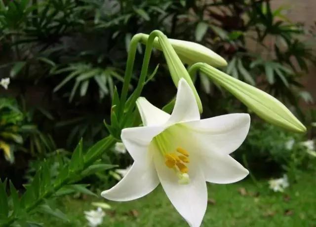 福建汀州土特产,福建零食特产有哪些