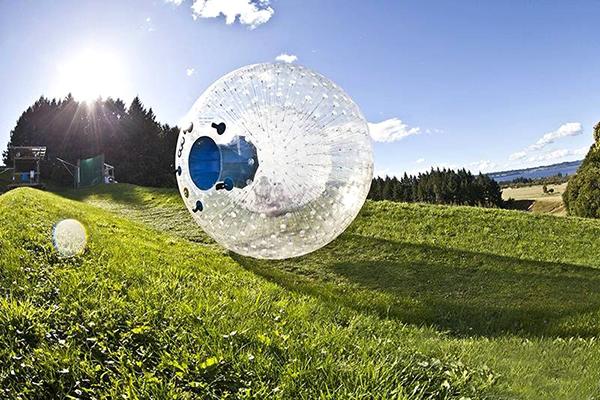 新西兰特色动物有哪些,新西兰奇异动物有哪些