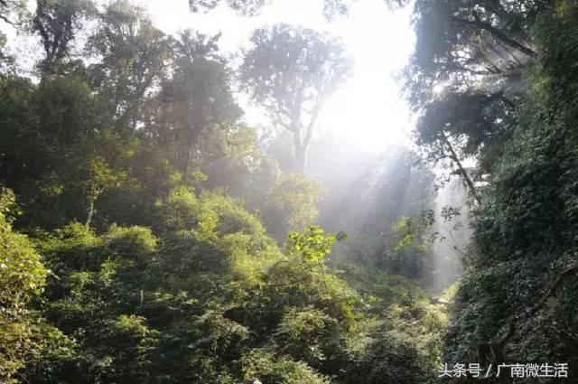 文山，你美得如此任性，你让大理丽江情何以堪？