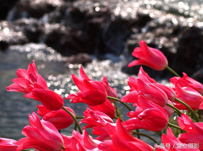 摄影照片怎么拍出氛围感,有意思的照片拍摄技巧