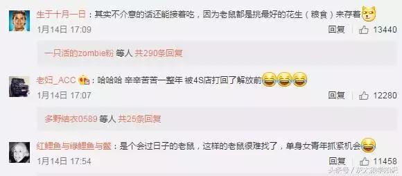 老鼠洞里挖出来花生,老鼠偷花生被发现