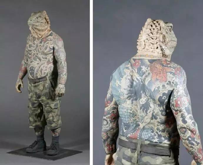 微观茶市丨古茶树安装GPS定位意义何在？