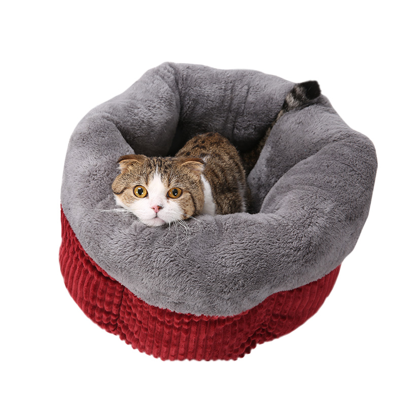 你给你家猫驱虫了吗,你给家人准备年货了吗