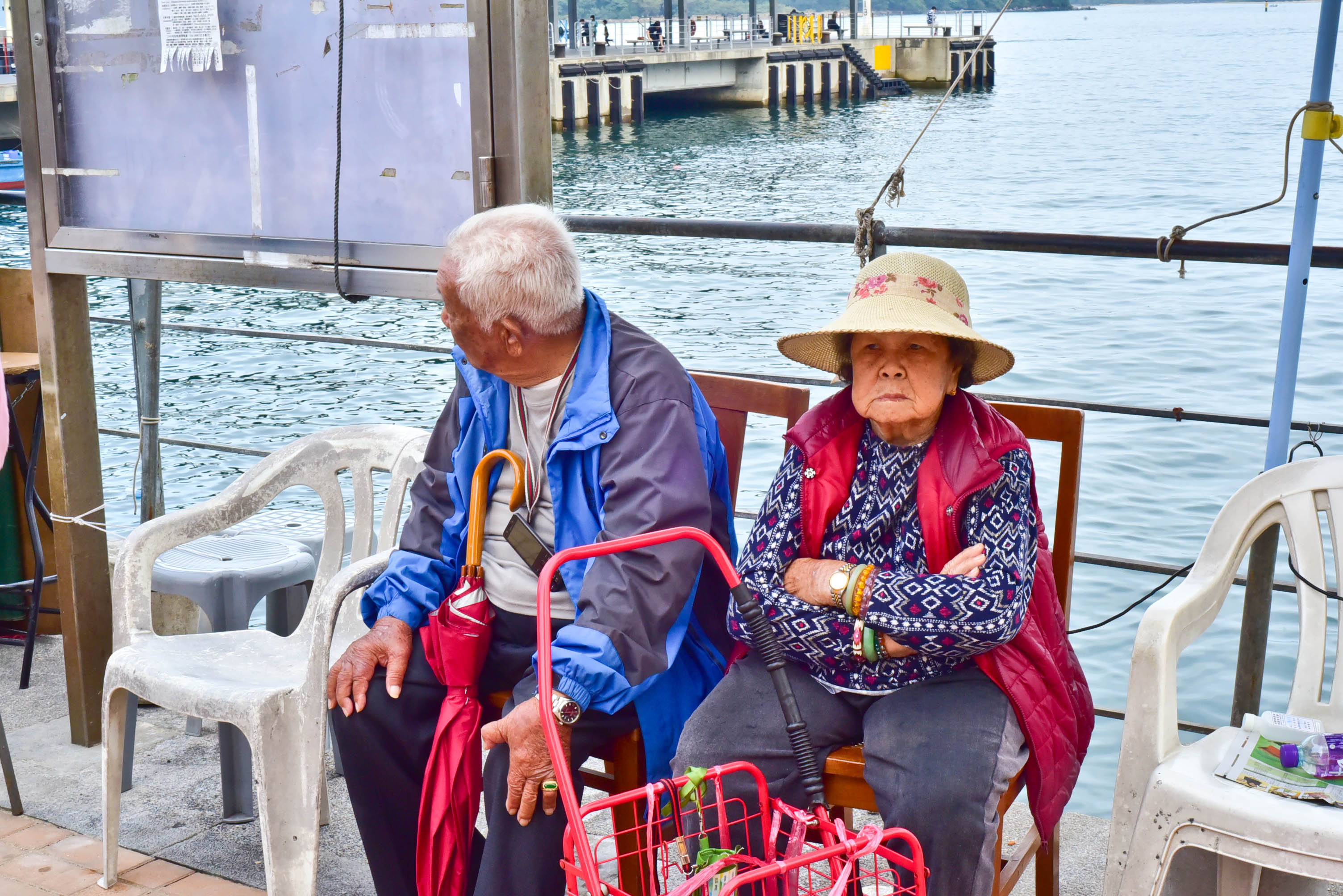 兔子游云南,兔子游老君山视频