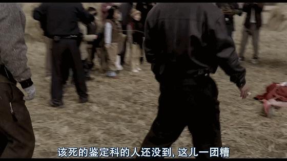 十部顶级重口恐怖电影免费观看 (最好看的恐怖电影前10篇)