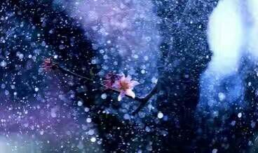 看完这些摄影作品点评，你的摄影技能会有大幅提升