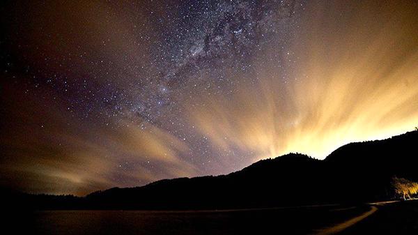 新西兰特色动物有哪些,新西兰奇异动物有哪些