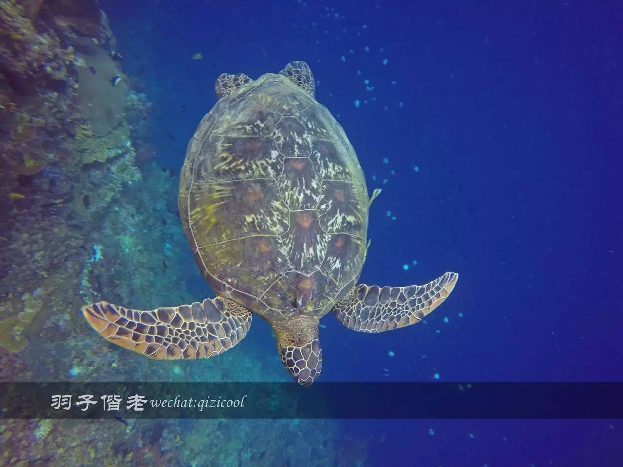 美娜多海岛一日游,印尼美娜多跟团游