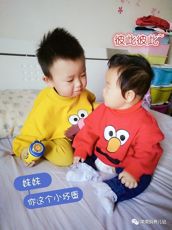 过年怎能不虐狗,逗比兄妹的年终总结